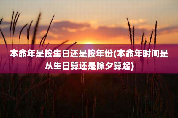 本命年是按生日还是按年份(本命年时间是从生日算还是除夕算起)