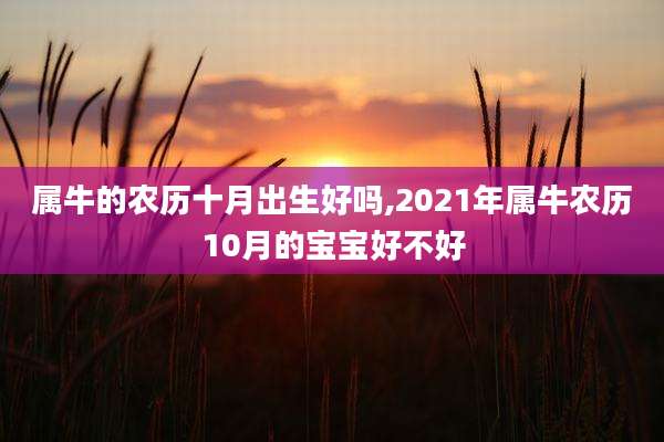 属牛的农历十月出生好吗,2021年属牛农历10月的宝宝好不好