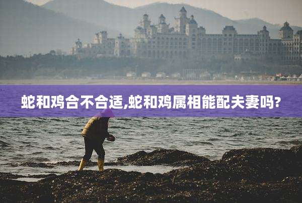 蛇和鸡合不合适,蛇和鸡属相能配夫妻吗?