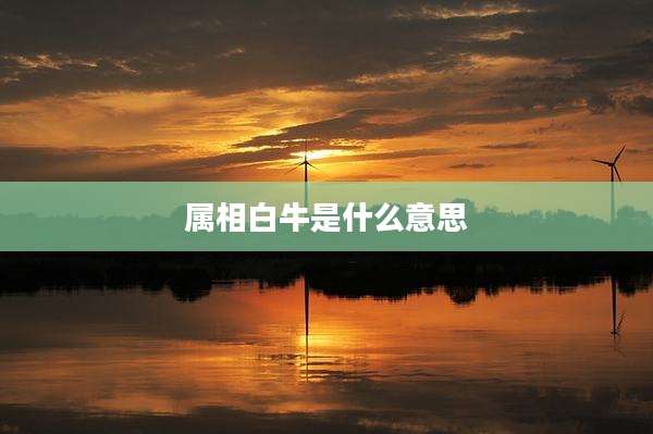 属相白牛是什么意思