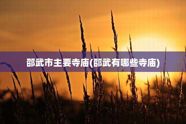 邵武市主要寺庙(邵武有哪些寺庙)