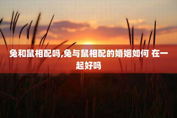 兔和鼠相配吗,兔与鼠相配的婚姻如何 在一起好吗