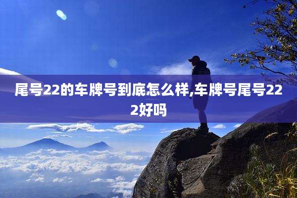 尾号22的车牌号到底怎么样,车牌号尾号222好吗