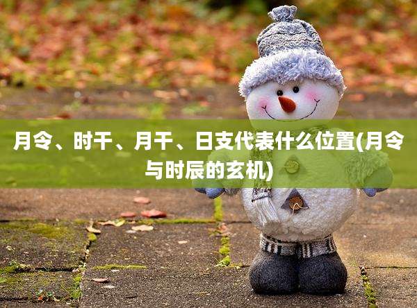 月令、时干、月干、日支代表什么位置(月令与时辰的玄机)