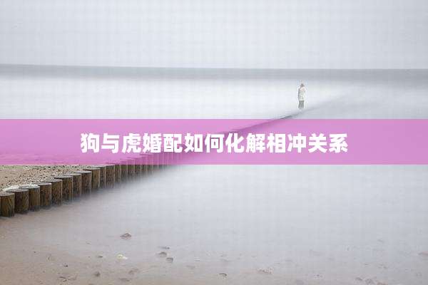 狗与虎婚配如何化解相冲关系
