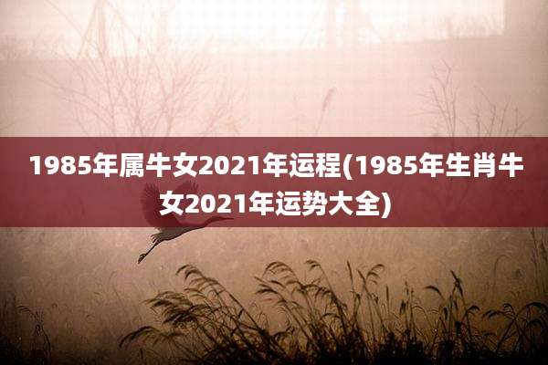 1985年属牛女2021年运程(1985年生肖牛女2021年运势大全)