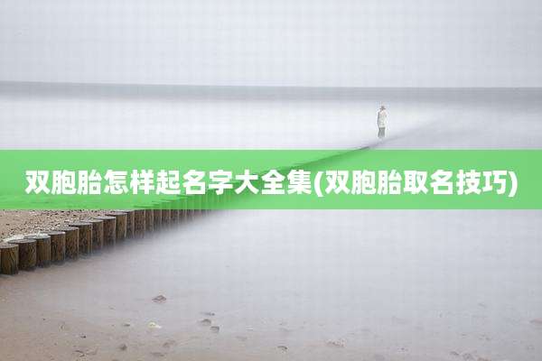 双胞胎怎样起名字大全集(双胞胎取名技巧)