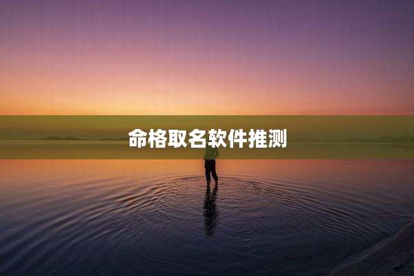 命格取名软件推测