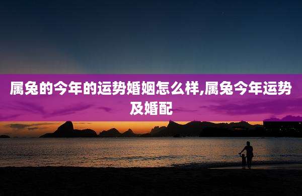 属兔的今年的运势婚姻怎么样,属兔今年运势及婚配