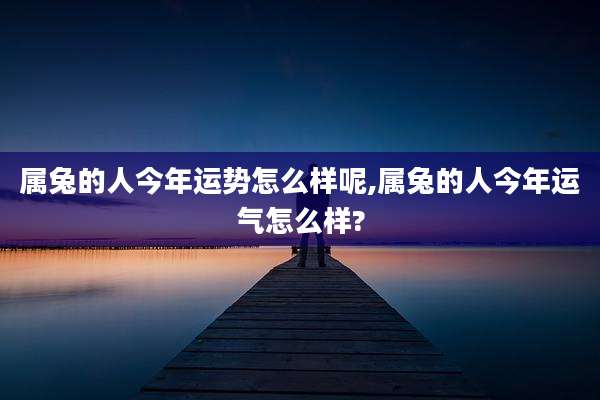 属兔的人今年运势怎么样呢,属兔的人今年运气怎么样?