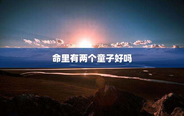 命里有两个童子好吗