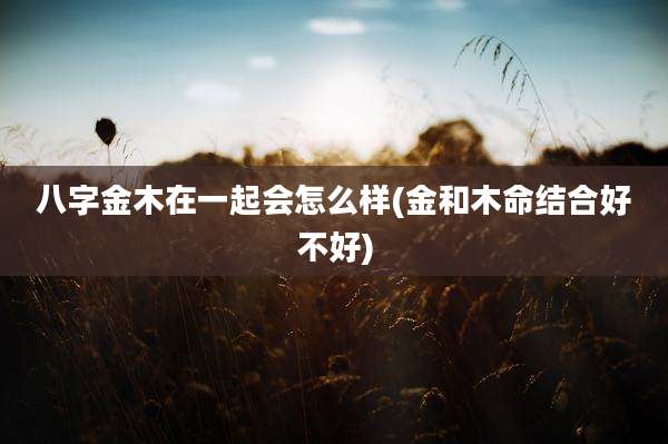 八字金木在一起会怎么样(金和木命结合好不好)