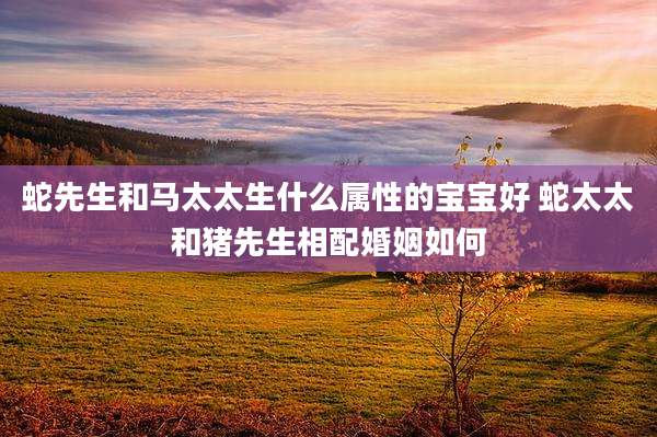 蛇先生和马太太生什么属性的宝宝好 蛇太太和猪先生相配婚姻如何
