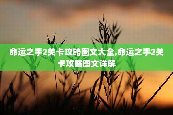 命运之手2关卡攻略图文大全,命运之手2关卡攻略图文详解