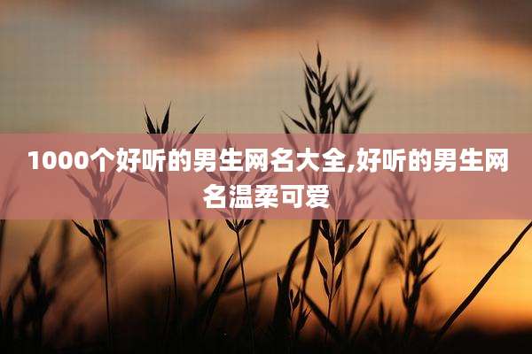 1000个好听的男生网名大全,好听的男生网名温柔可爱
