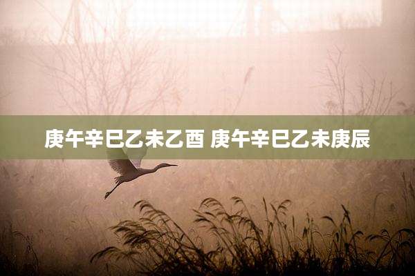 庚午辛巳乙未乙酉 庚午辛巳乙未庚辰