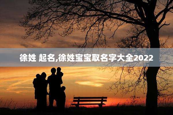 徐姓 起名,徐姓宝宝取名字大全2022