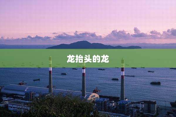 龙抬头的龙