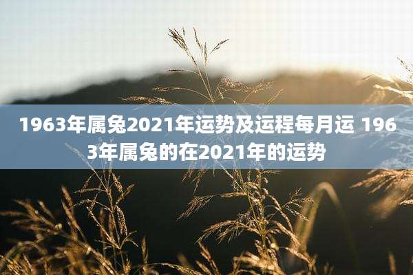 1963年属兔2021年运势及运程每月运 1963年属兔的在2021年的运势
