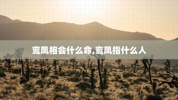 鸾凤相会什么命,鸾凤指什么人