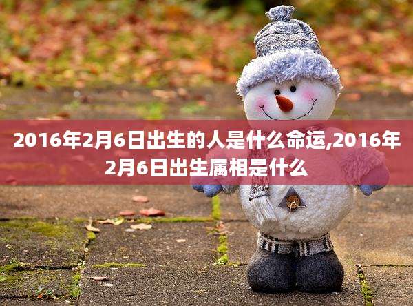 2016年2月6日出生的人是什么命运,2016年2月6日出生属相是什么