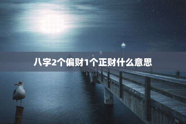 八字2个偏财1个正财什么意思