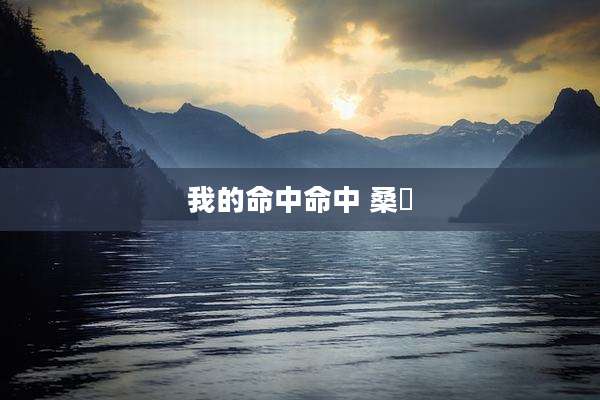 我的命中命中 桑玠