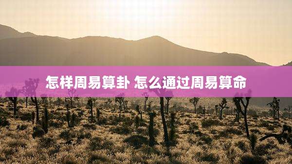 怎样周易算卦 怎么通过周易算命