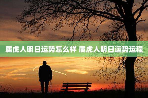 属虎人明日运势怎么样 属虎人明日运势运程