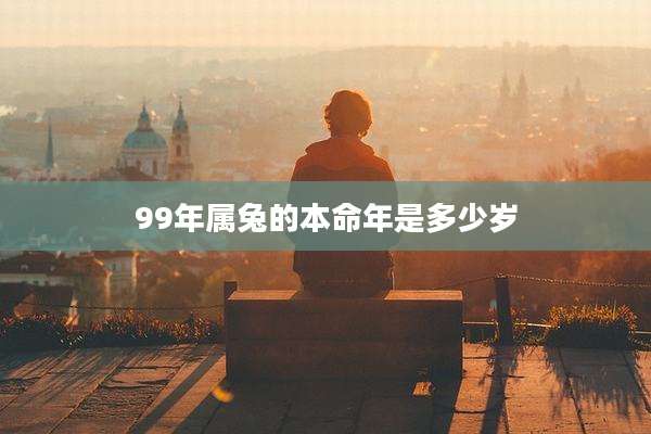 99年属兔的本命年是多少岁