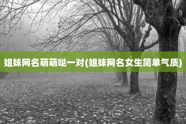 姐妹网名萌萌哒一对(姐妹网名女生简单气质)