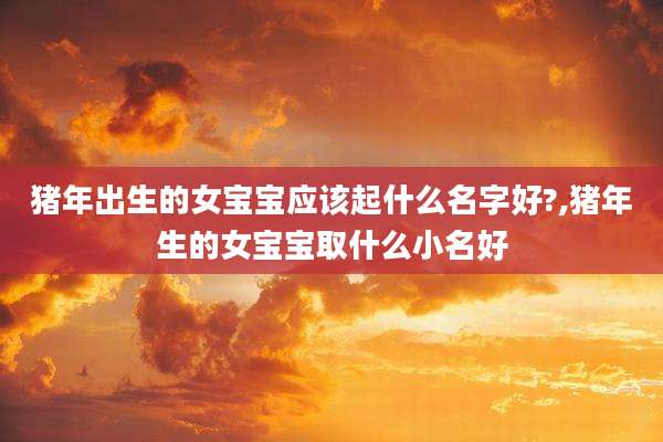 猪年出生的女宝宝应该起什么名字好?,猪年生的女宝宝取什么小名好