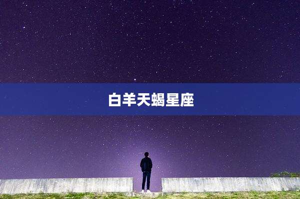 白羊天蝎星座
