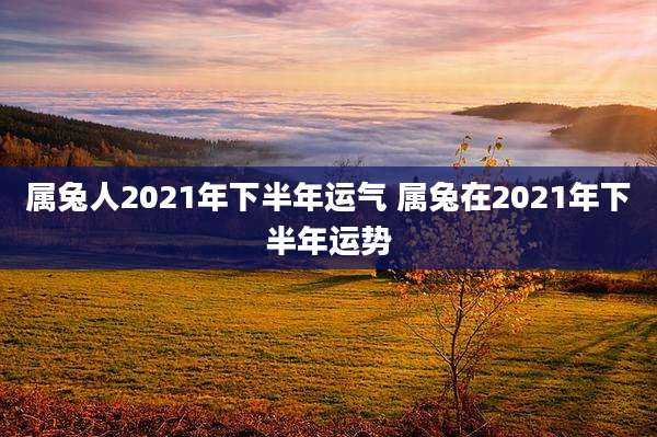 属兔人2021年下半年运气 属兔在2021年下半年运势