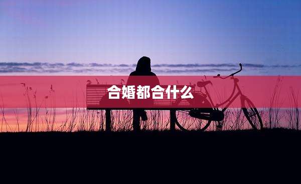 合婚都合什么