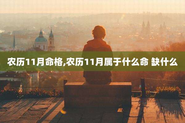农历11月命格,农历11月属于什么命 缺什么
