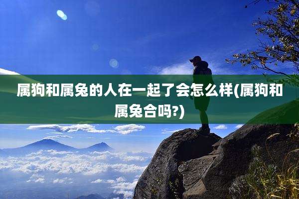 属狗和属兔的人在一起了会怎么样(属狗和属兔合吗?)
