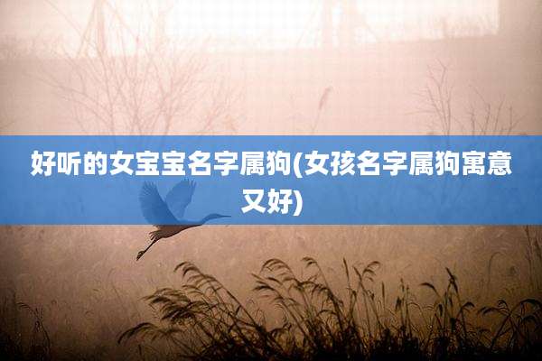 好听的女宝宝名字属狗(女孩名字属狗寓意又好)