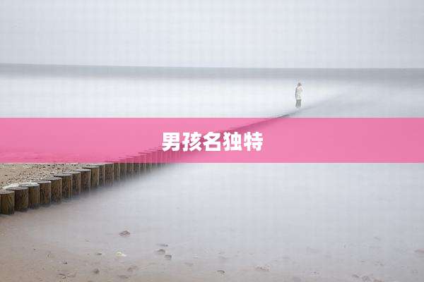 男孩名独特