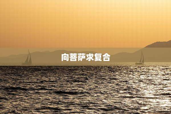 向菩萨求复合