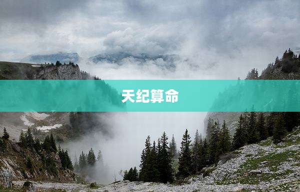 天纪算命