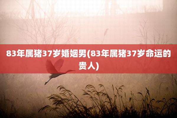 83年属猪37岁婚姻男(83年属猪37岁命运的贵人)