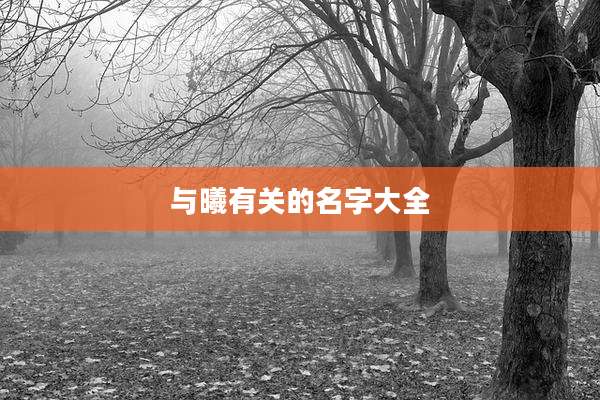 与曦有关的名字大全
