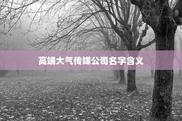 高端大气传媒公司名字含义