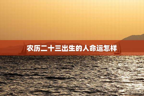农历二十三出生的人命运怎样