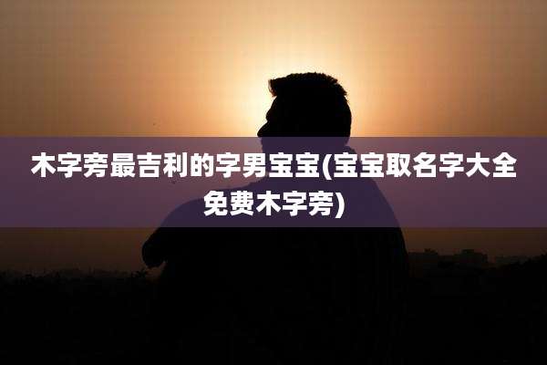 木字旁最吉利的字男宝宝(宝宝取名字大全免费木字旁)