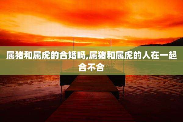 属猪和属虎的合婚吗,属猪和属虎的人在一起合不合