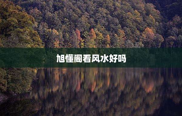旭懂阁看风水好吗