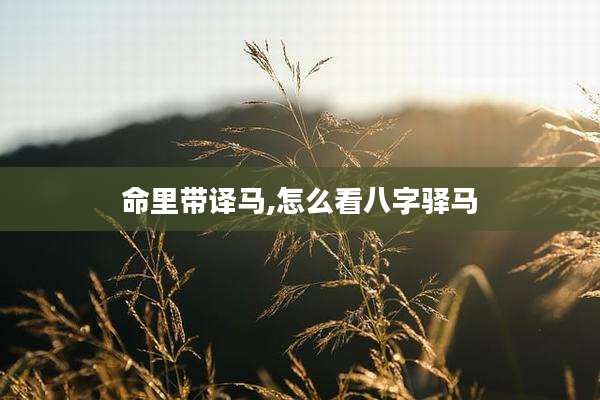 命里带译马,怎么看八字驿马