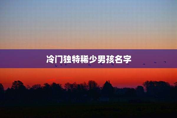冷门独特稀少男孩名字